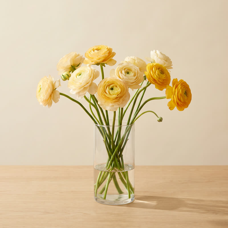 Loose stems of cream and golden ranunculus in a clear glass vase