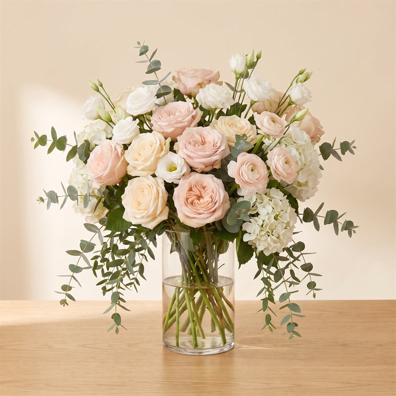 Soft blush-and-ivory designer's choice arrangement, grand size