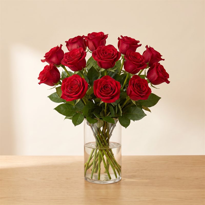Deep-red garden roses in a clear glass vase
